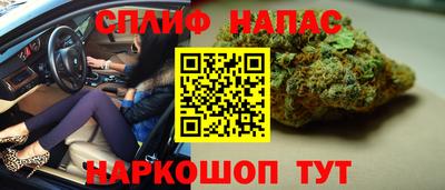 твердый Тара