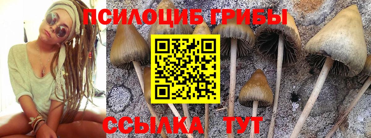 Псилоцибиновые грибы ЛСД Нарткала