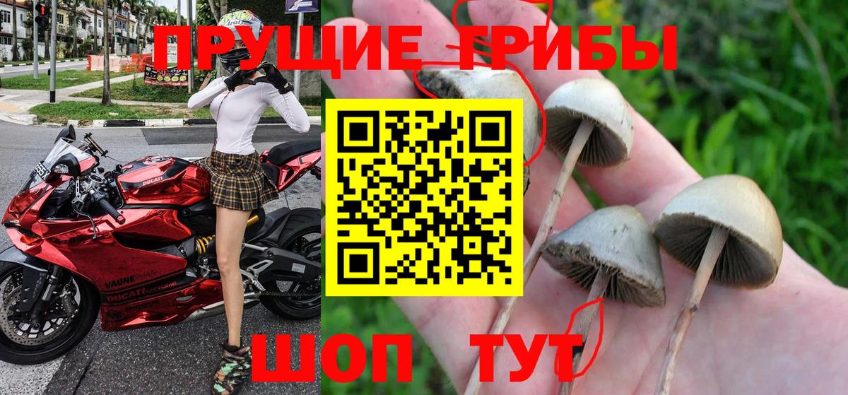 Нарткала  Псилоцибиновые грибы прущие грибы  Галлюциногенные грибы ЛСД  хочу   Вход с VPN 