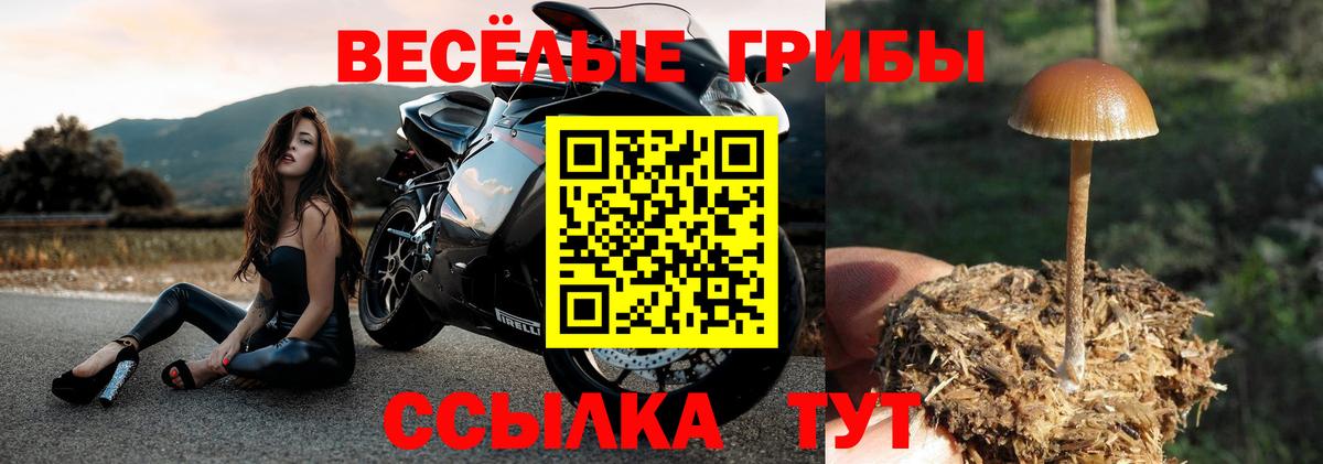LSD-25  Конопля  Мефедрон кристаллы  Нарткала  Амфетамин кристаллы  Вход с VPN  ГАШИШ  Cocaine  Альфа ПВП СК  